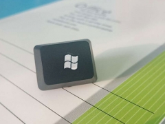 ƽ�����רҵ���޿γ�����Щ/