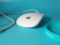 ����������ƽ�������ѵ��/