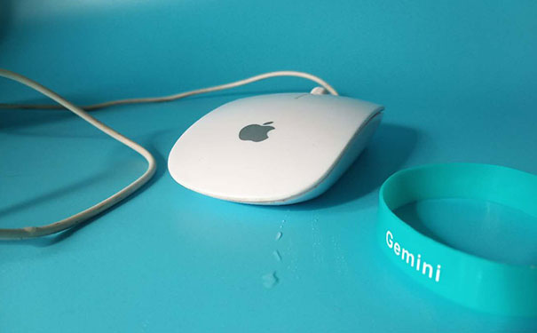 ����������ƽ�������ѵ��