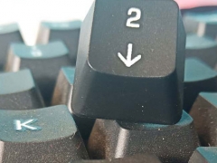 ����ƽ�������ѵ����������/