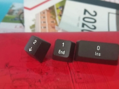 ����ƽ�������ѵ�����ļҿڱ���/