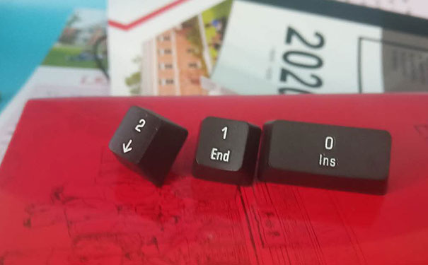 ����ƽ�������ѵ�����ļҿڱ���