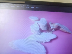 ����ƽ�������ѵ�����ļҺ�/