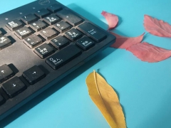 ����ƽ�����ѧУ����/