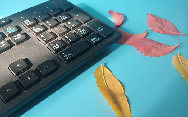 ����ƽ�����ѧУ���� 