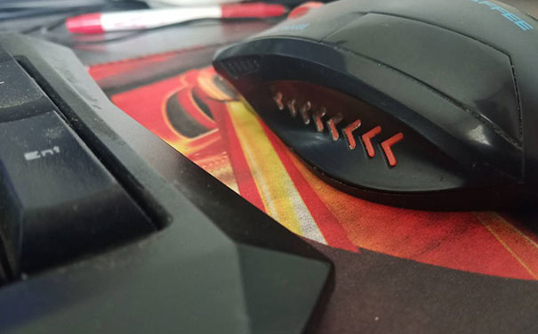 ��ɳƽ����ƿγ���ѵ