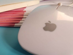 ��ɳƽ�����ʦ��ѵ��ѧ��/