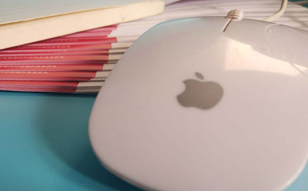 ��ɳƽ�����ʦ��ѵ��ѧ��