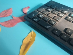 ��ɳƽ�������ѵ�����ĸ�����/