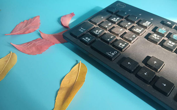 ��ɳƽ�������ѵ�����ĸ�����