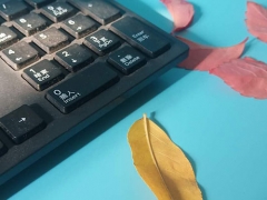 ��ɳƽ�����ѧУ����Щ/