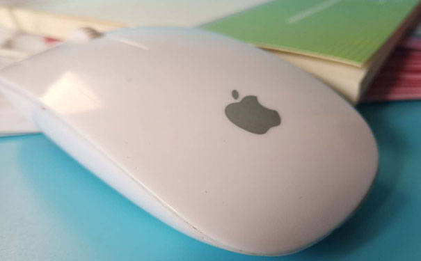 ����webǰ�˿�����ѵ�ļҺ�