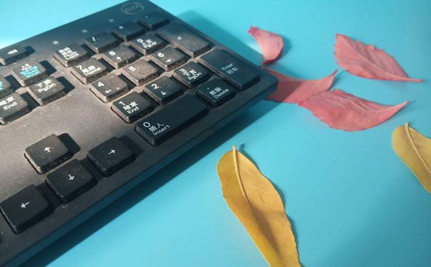 ����webǰ�˿�����ѵ�ļҺ�