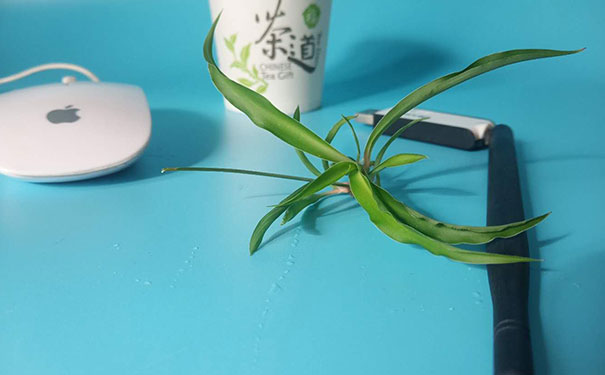 ����ѧǰ����ѵ�ļҺ�