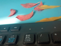 ��ɳǰ����ѵ�ĸ���������/