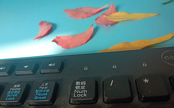 ��ɳǰ����ѵ�ĸ���������