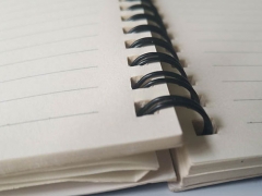 ���Ż����ѵ-�����м�������ڿγ̣�������Ƶ-�ʺ�ѧУ/