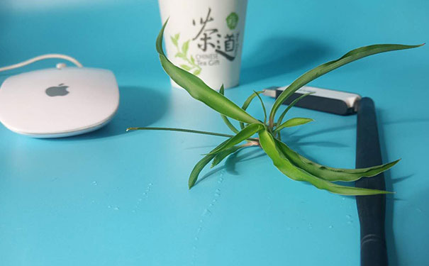 太原小店区零基础学java-快速入门-工作前途无忧-中公教育
