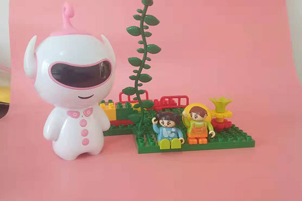 ������Ϣѧ������ѵ��������