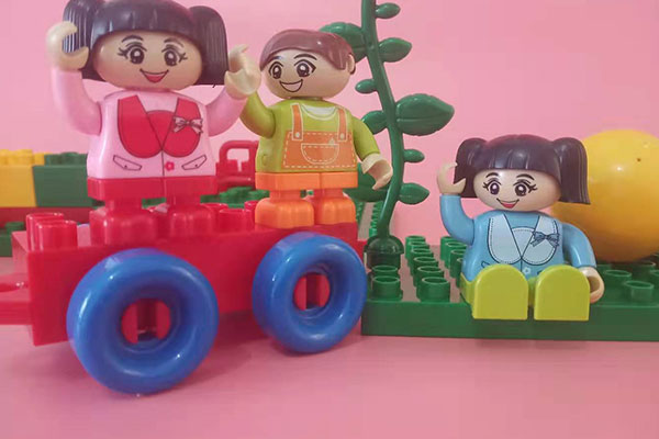 �Ϻ��ֶ�������Ϣѧ������ѵ��������