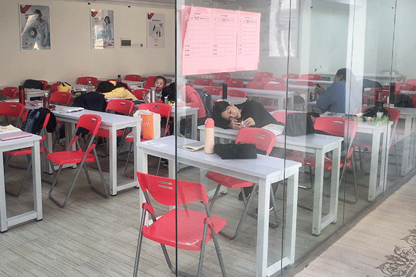 Ȫ�ݻ���м�ְ����ѵ-���ü۸�-���Ա�������