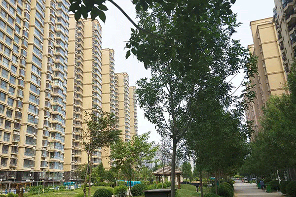 ���BIM��ѵ��������Щ-�ĸ����濿��������