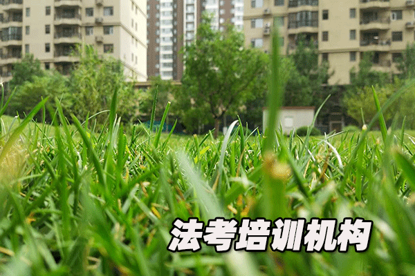 ��ͨ������ѵ�����ĸ���_����