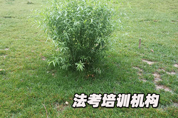 �Ͼ�������ѵ�����ĸ���_����