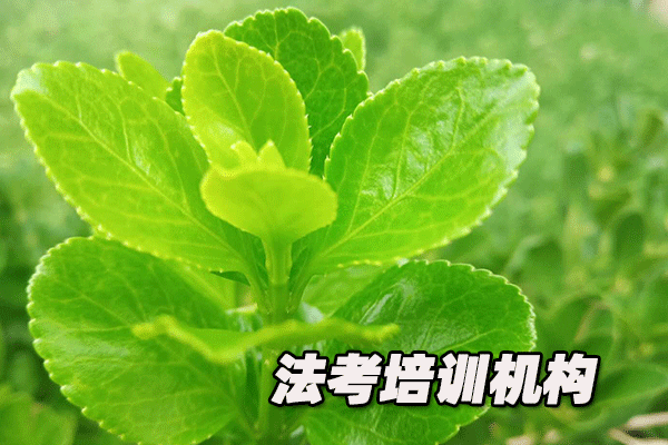 ���ݷ�����ѵ�����ĸ���_����