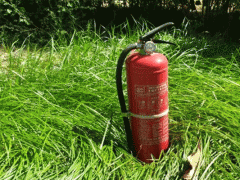 ���Ƹ�һ����ѵ��-���ö���Ǯ/