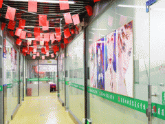 ��ݸ��ױ������ѵѧУ/