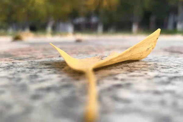 ���ϳ�������˼��ٰ࿪��_�����������ȡ_ ���ڱ�����