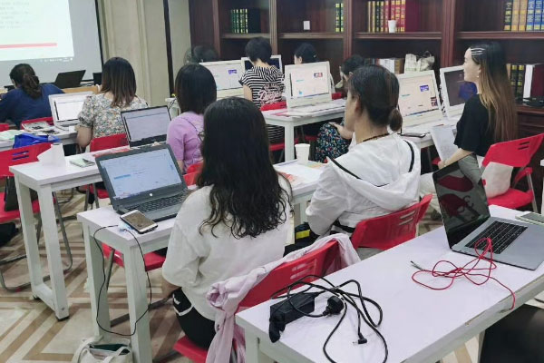 新手学会计实账演练