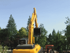 �人�ھ����ѵ���ѧ����/