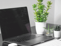 ����˰��ʦ��ѵ����_�����ĸ���/