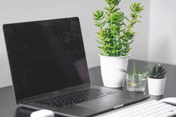 ����˰��ʦ��ѵ����_�����ĸ���