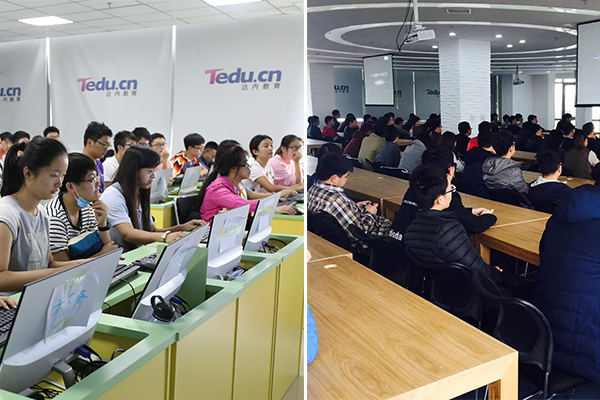 ��������IT��ѵ����ô��_ѧ�Ѽ۸����