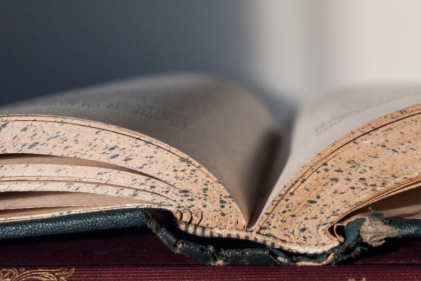 �����о���������ѵ���ĸ���_�γ̷���