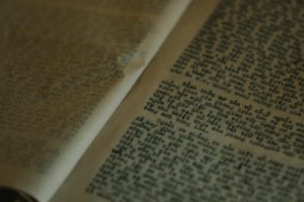 �ܿ��о���������ѵ���ĸ���_�γ̷���