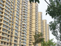 ����һ�����Ը�������_��ѵ��۸�/