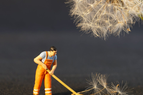 新疆家庭教育指导师怎么考_有用吗_附证书样本图片