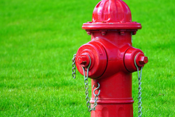 ����������ѵѧУ�ļҺ�_��ַ_�绰