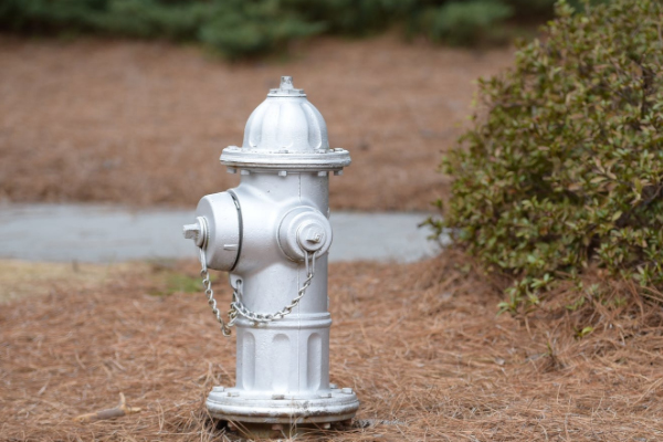 �ӱ�������ѵѧУ�ļҺ�_��ַ_�绰