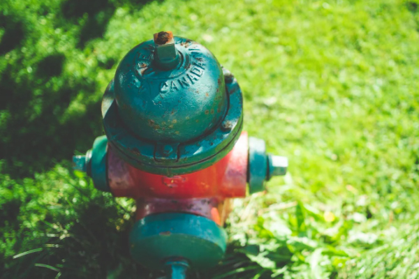 ����������ѵѧУ�ļҺ�_��ַ_�绰