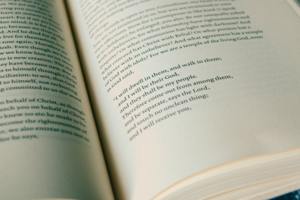 �����о��������ѯ