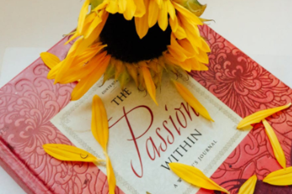 �����о��������ѯ