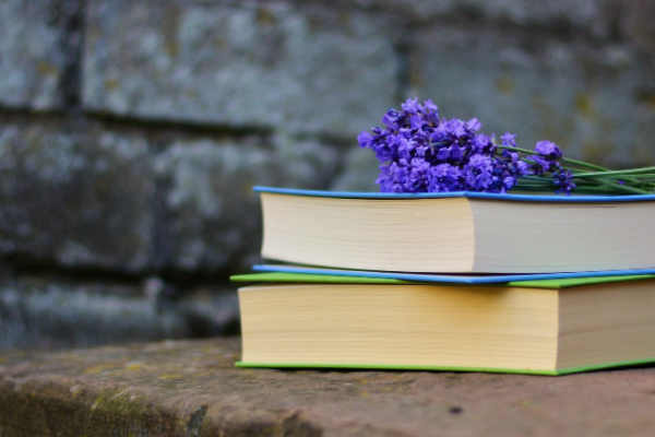 ��������о��������ѯ