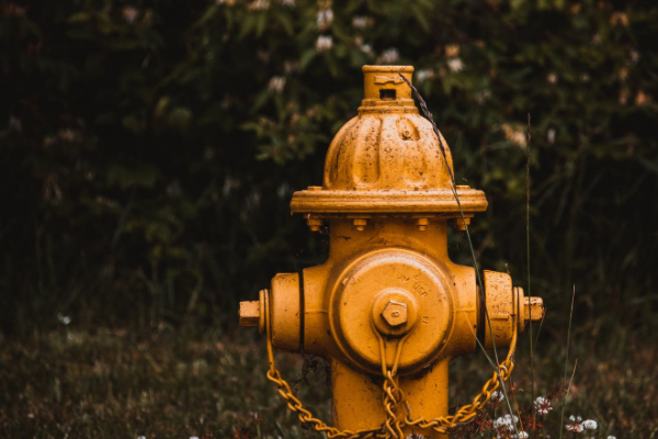 �����м�����Ա֤��ѵ����_���ö���Ǯ