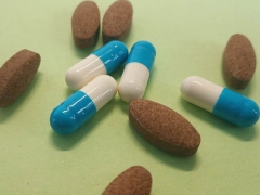 ���ִҵ��ҩʦ��ѵ����_�ṩ��������γ�/