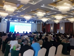 ����ִҵ��ҩʦ��ѵ����_�ṩ��������γ�/